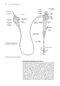 Cotton and Williams' Practical Gastrointestinal Endoscopy: The Fundamentals 8th Edition