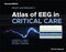 Hirsch and Brenner's Atlas of EEG in Critical Care 2nd Edition