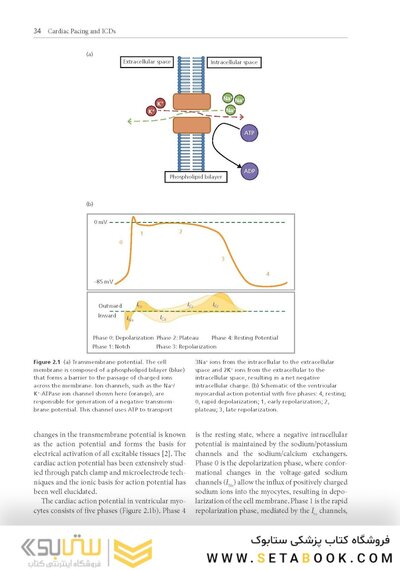 Cardiac Pacing and ICDs