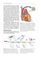 Cardiac Pacing and ICDs