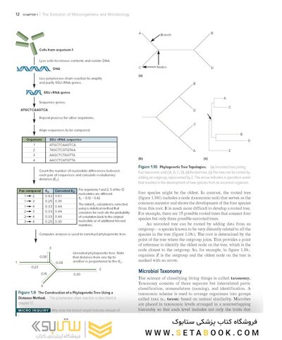 Prescott’s Microbiology 12th Edition