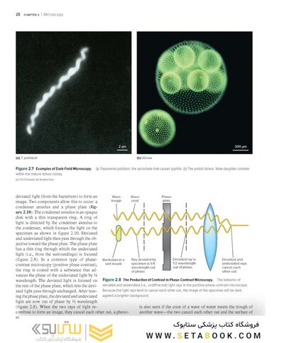 Prescott’s Microbiology 12th Edition