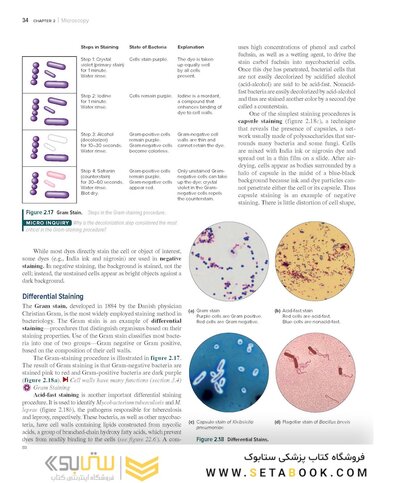 Prescott’s Microbiology 12th Edition