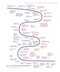 Prescott’s Microbiology 12th Edition