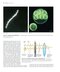 Prescott’s Microbiology 12th Edition