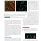 Prescott’s Microbiology 12th Edition