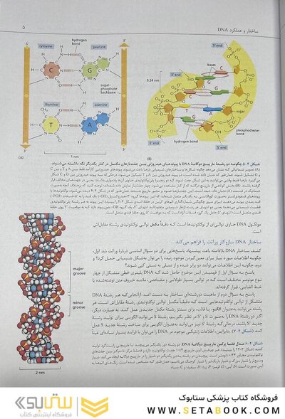 زیست شناسی مولکولی سلول آلبرتس جلد دوم 2022
