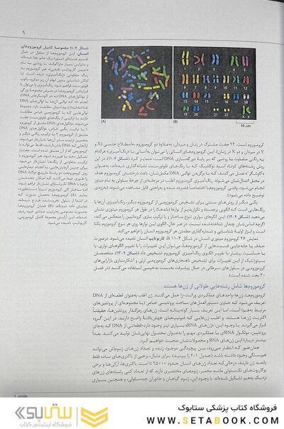 زیست شناسی مولکولی سلول آلبرتس جلد دوم 2022