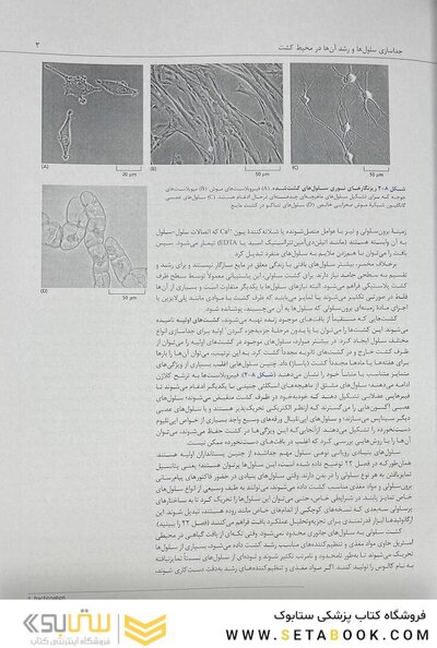 زیست شناسی مولکولی سلول آلبرتس جلد سوم 2022