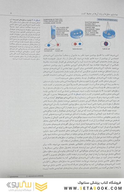 زیست شناسی مولکولی سلول آلبرتس جلد سوم 2022