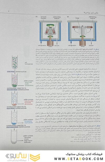 زیست شناسی مولکولی سلول آلبرتس جلد سوم 2022