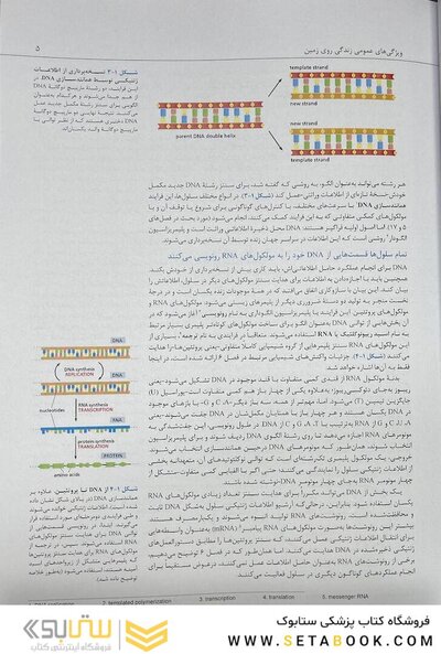 زیست شناسی مولکولی سلول آلبرتس جلد اول  2022