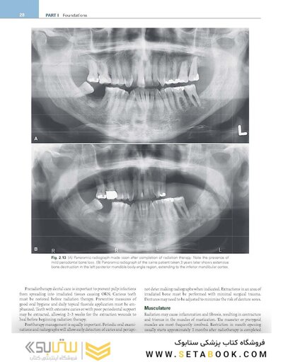 White and Pharoah's Oral Radiology: Principles and Interpretation 9th Edition