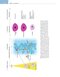 White and Pharoah's Oral Radiology: Principles and Interpretation 9th Edition