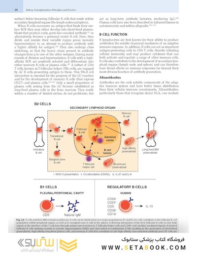 Kidney Transplantation: Principles and Practice, 9th edition