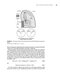 ACSM's Body Composition Assessment First Edition