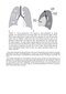 Webb & Higgins Thoracic Imaging