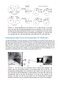 Webb & Higgins Thoracic Imaging