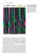A First Course in Systems Biology 3rd Edition