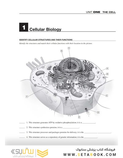 Study Guide for Pathophysiology 8th Edition