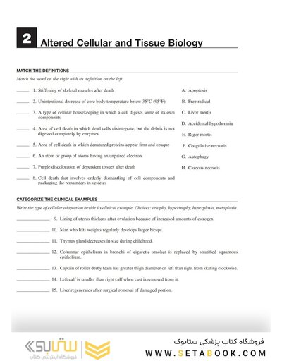 Study Guide for Pathophysiology 8th Edition