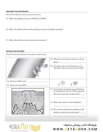 Study Guide for Pathophysiology 8th Edition