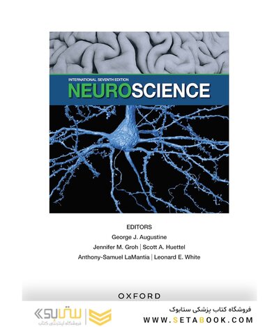 Neuroscience 7th Edition