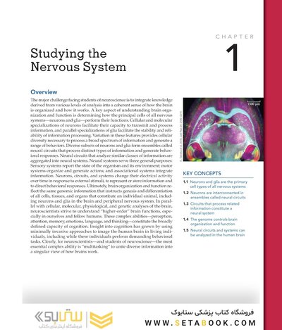Neuroscience 7th Edition