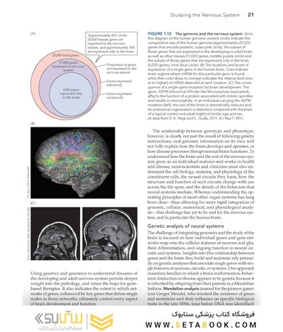 Neuroscience 7th Edition