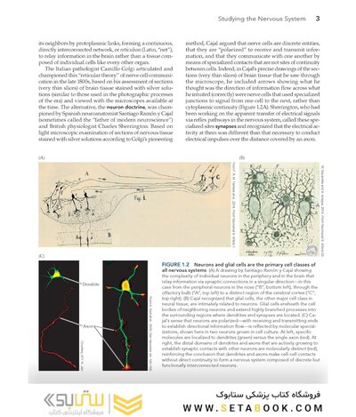 Neuroscience 7th Edition