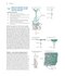 Neuroscience 7th Edition