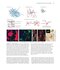 Neuroscience 7th Edition