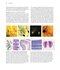 Neuroscience 7th Edition