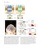 Neuroscience 7th Edition