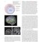 Neuroscience 7th Edition