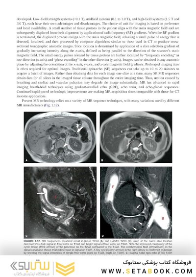 Brant & Helms' Fundamentals of Diagnostic Radiology:  Sixth Edition