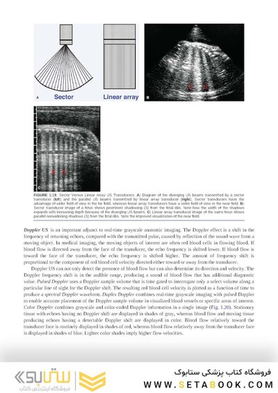 Brant & Helms' Fundamentals of Diagnostic Radiology:  Sixth Edition