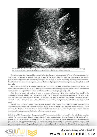 Brant & Helms' Fundamentals of Diagnostic Radiology:  Sixth Edition