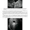 Brant & Helms' Fundamentals of Diagnostic Radiology:  Sixth Edition