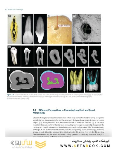 Endodontic Advances and Evidence-Based Clinical Guidelines 1st Edition
