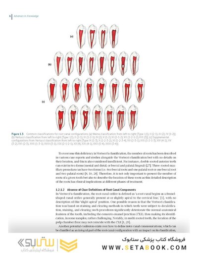 Endodontic Advances and Evidence-Based Clinical Guidelines 1st Edition