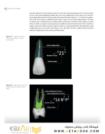Endodontic Advances and Evidence-Based Clinical Guidelines 1st Edition