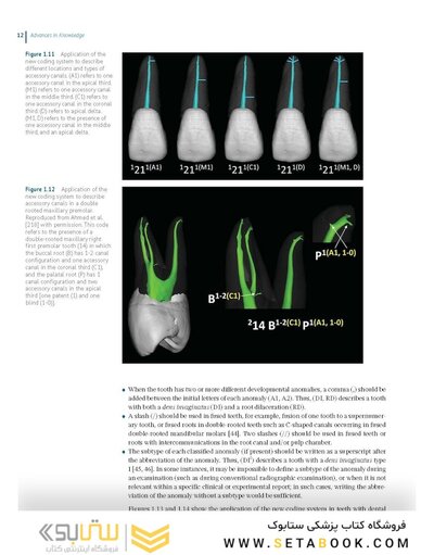 Endodontic Advances and Evidence-Based Clinical Guidelines 1st Edition
