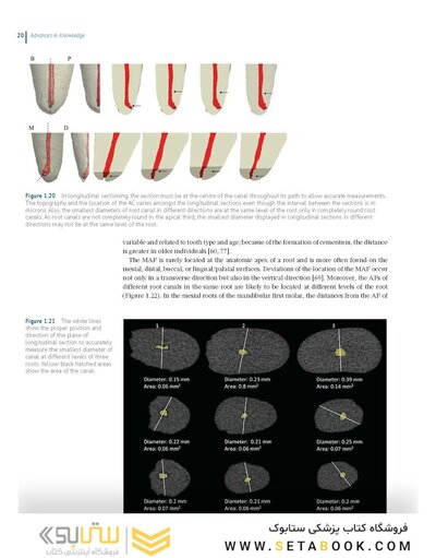 Endodontic Advances and Evidence-Based Clinical Guidelines 1st Edition