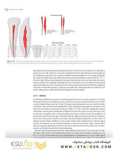 Endodontic Advances and Evidence-Based Clinical Guidelines 1st Edition