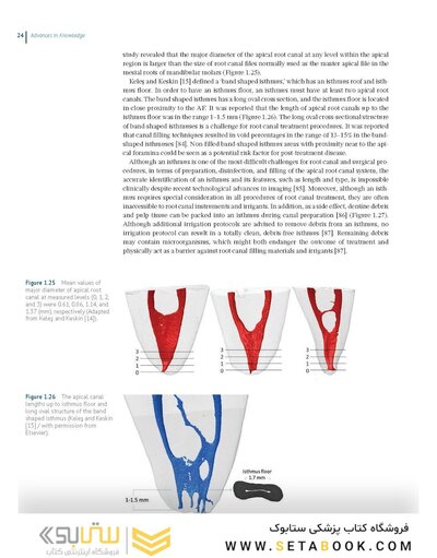 Endodontic Advances and Evidence-Based Clinical Guidelines 1st Edition