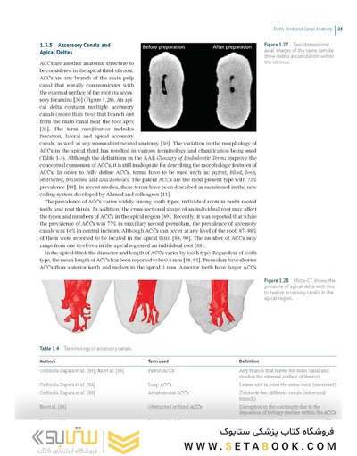 Endodontic Advances and Evidence-Based Clinical Guidelines 1st Edition