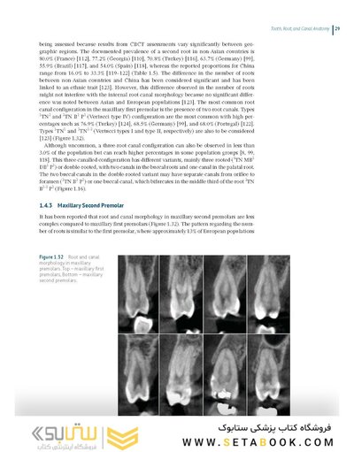 Endodontic Advances and Evidence-Based Clinical Guidelines 1st Edition