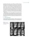 Endodontic Advances and Evidence-Based Clinical Guidelines 1st Edition