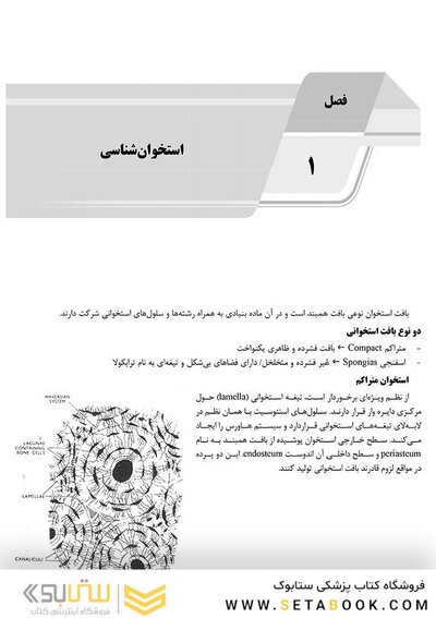 AGK درسنامه علوم تشریح (ویژه کارشناسی ارشد رشته ارگونومی)